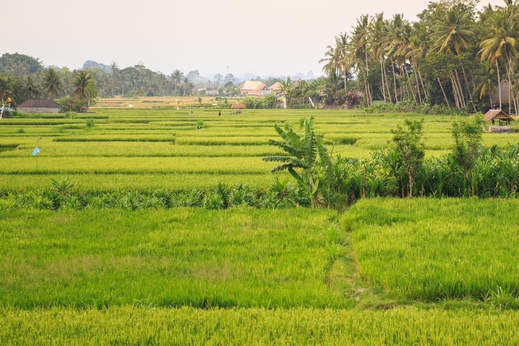 New Moon Villa Ubud  Bagian luar foto